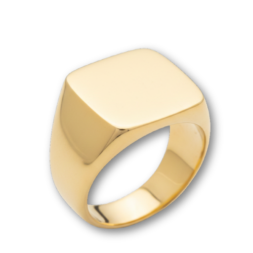 使用しない印台の指輪